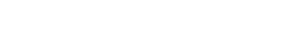 DIGITAL SYSTEM SRL - TORINO